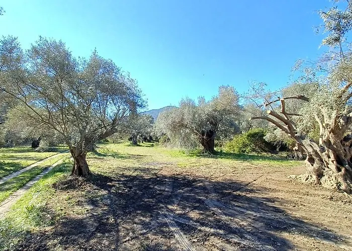 Apartment Eleonas 1, Lygia *